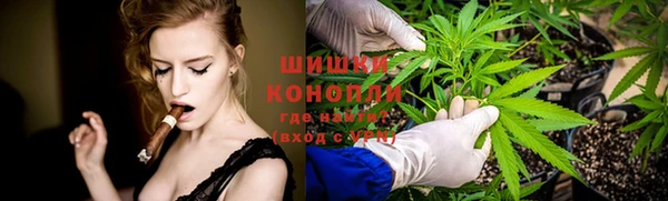 PSILOCYBIN Армянск