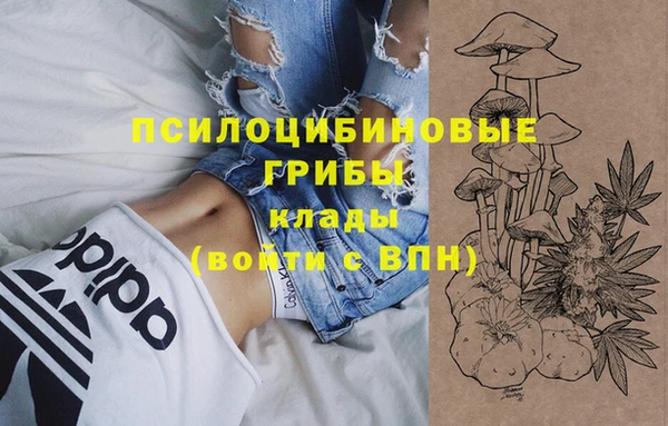 2c-b Балахна