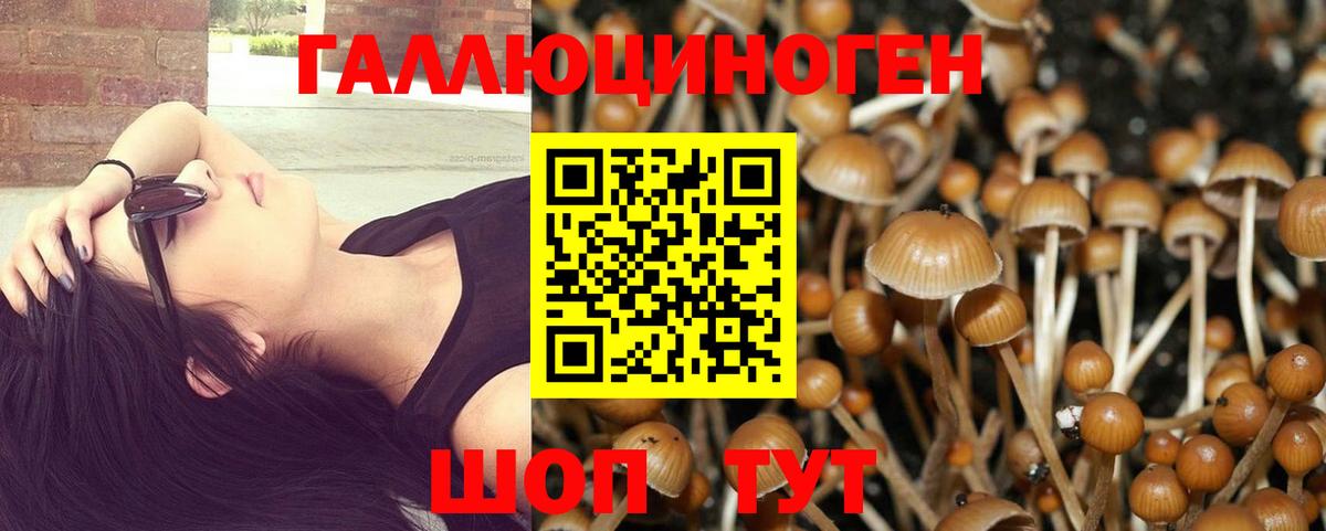 Псилоцибиновые грибы Magic Shrooms  Вход с VPN  Калуга 