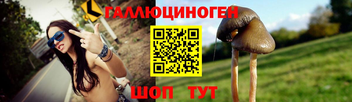 Галлюциногенные грибы MAGIC MUSHROOMS Калуга